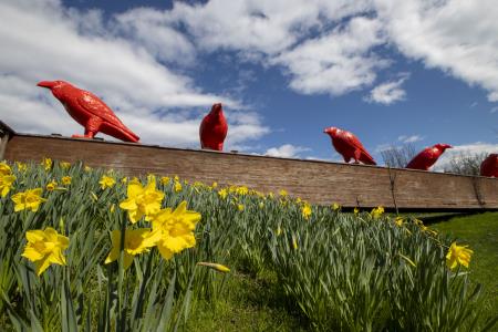 Skulpture v Arboretumu Volčji Potok-Foto Mateja Račevski (1)